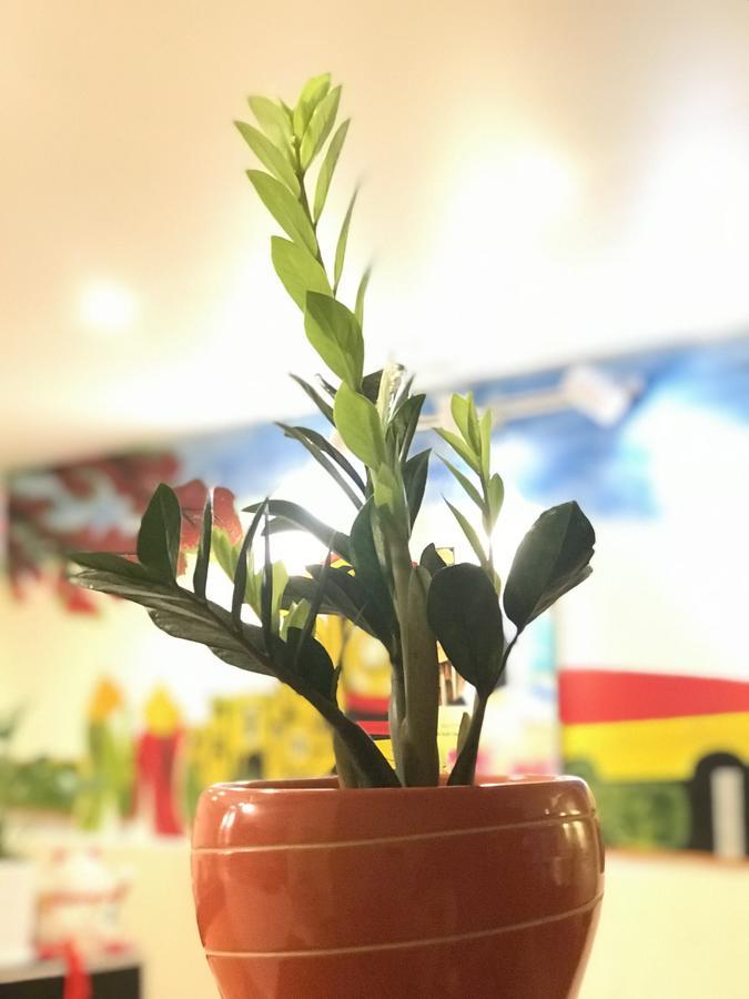 The Lily Hostel & Coffee Bandar Ho Chi Minh Luaran gambar